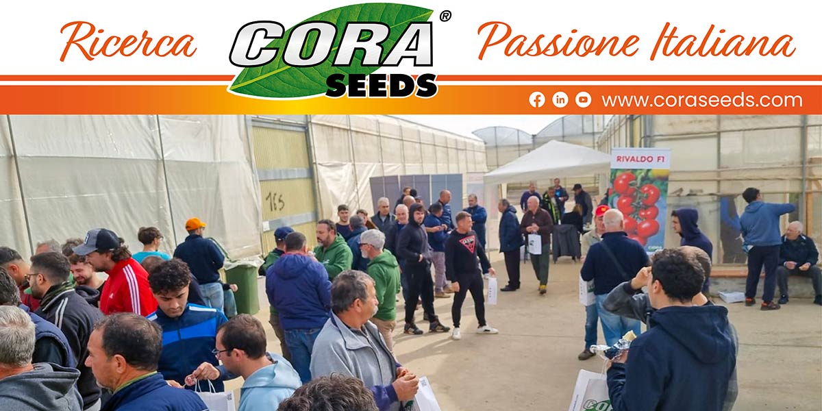 Cora Seeds, successo per l’Open Day dedicato al pomodoro in Sicilia